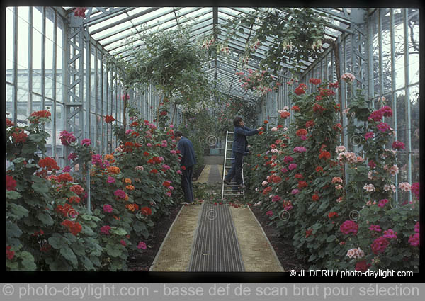 serres royales de Laeken (Bruxelles)
Royal Greenhouses of Laeken (Brussels)